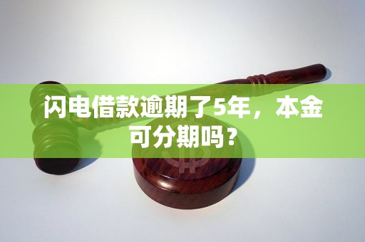 闪电借款逾期了5年，本金可分期吗？