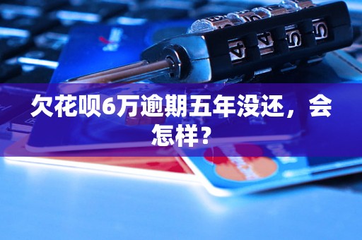 欠花呗6万逾期五年没还，会怎样？