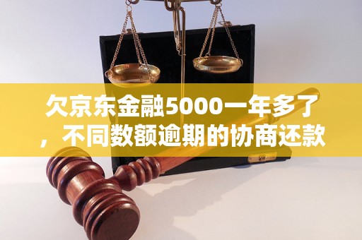 欠京东金融5000一年多了，不同数额逾期的协商还款经验分享