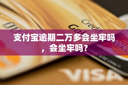 支付宝逾期二万多会坐牢吗，会坐牢吗？