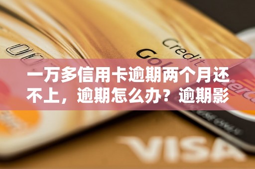 一万多信用卡逾期两个月还不上，逾期怎么办？逾期影响与利息了解！