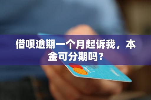 借呗逾期一个月起诉我，本金可分期吗？