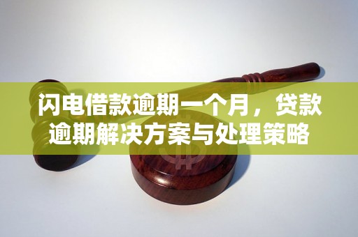 闪电借款逾期一个月，贷款逾期解决方案与处理策略