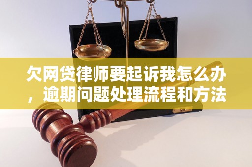 欠网贷律师要起诉我怎么办，逾期问题处理流程和方法