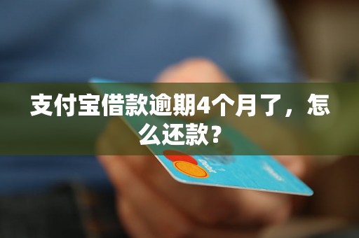 支付宝借款逾期4个月了，怎么还款？