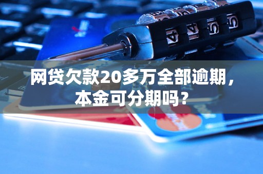 网贷欠款20多万全部逾期，本金可分期吗？