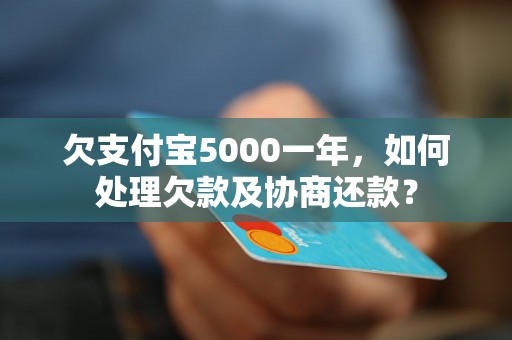 欠支付宝5000一年，如何处理欠款及协商还款？