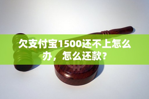 欠支付宝1500还不上怎么办，怎么还款？