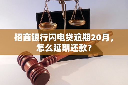 招商银行闪电贷逾期20月，怎么延期还款？