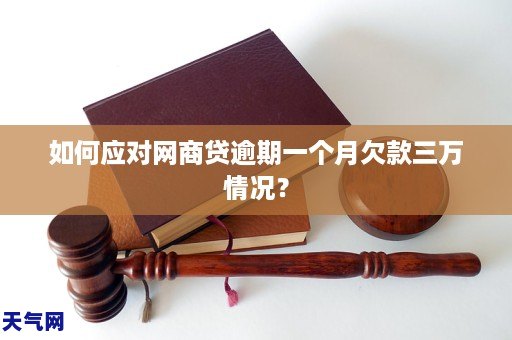 支付宝网商贷可以提前还款吗_还款贷网商提前支付宝可以吗_还款贷网商提前支付宝可以用吗