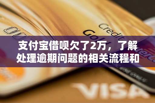 支付宝借呗欠了2万，了解处理逾期问题的相关流程和方法