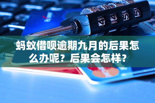 蚂蚁借呗逾期九月的后果怎么办呢？后果会怎样？