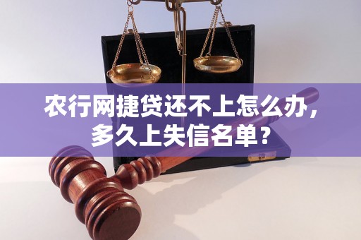 农行网捷贷还不上怎么办，多久上失信名单？