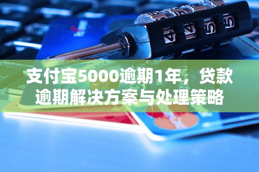 支付宝5000逾期1年，贷款逾期解决方案与处理策略