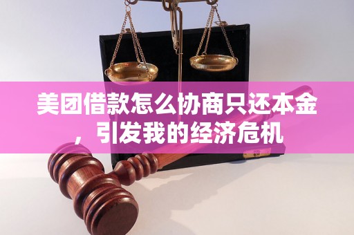 美团借款怎么协商只还本金，引发我的经济危机