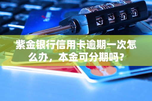 紫金银行信用卡逾期一次怎么办，本金可分期吗？