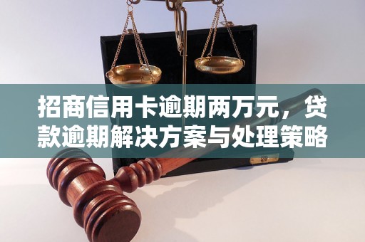 招商信用卡逾期两万元，贷款逾期解决方案与处理策略