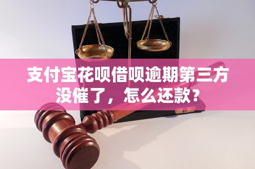 支付宝花呗借呗逾期第三方没催了，怎么还款？