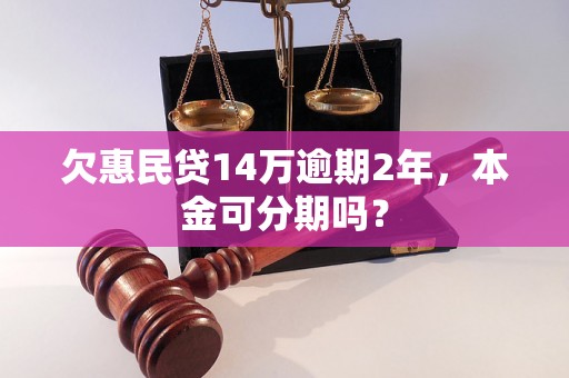 欠惠民贷14万逾期2年，本金可分期吗？