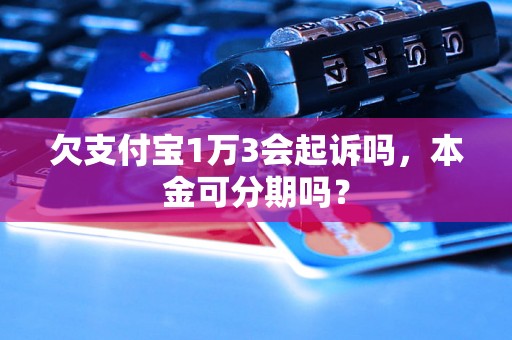 欠支付宝1万3会起诉吗，本金可分期吗？