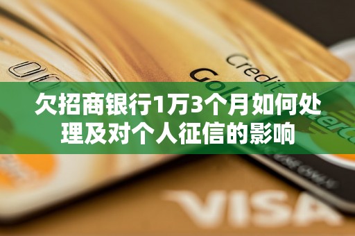 欠招商银行1万3个月如何处理及对个人征信的影响