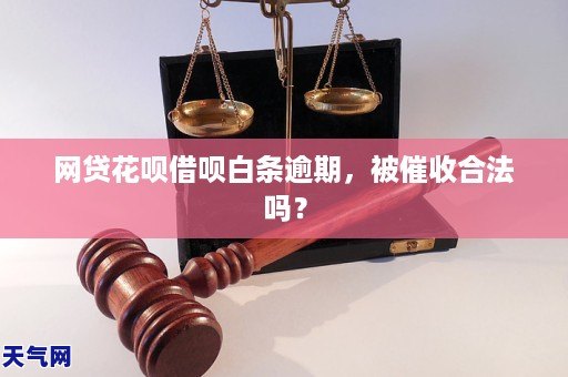 网贷逾期支付令_网贷支付令是什么意思_网贷支付令异议怎样写