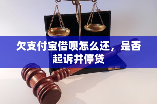 欠支付宝借呗怎么还，是否起诉并停贷