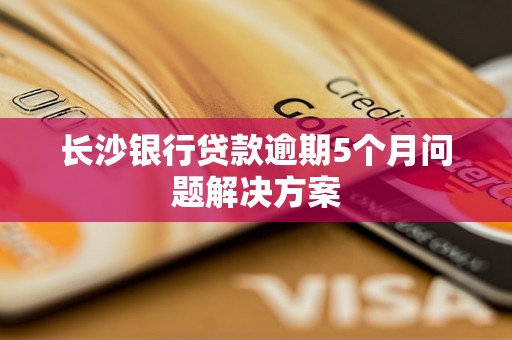 长沙银行贷款逾期5个月问题解决方案