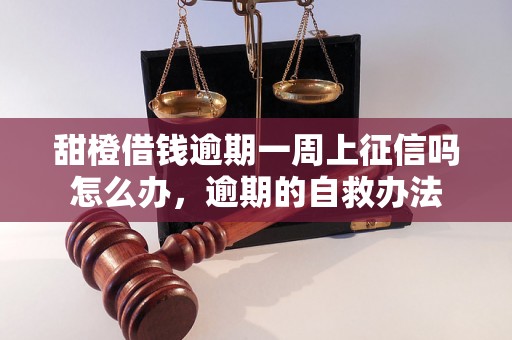 甜橙借钱逾期一周上征信吗怎么办，逾期的自救办法