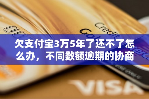 欠支付宝3万5年了还不了怎么办，不同数额逾期的协商还款经验分享