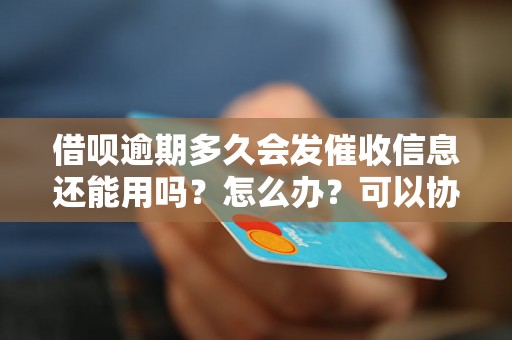 借呗逾期多久会发催收信息还能用吗？怎么办？可以协商还本金吗？