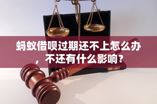 蚂蚁借呗过期还不上怎么办，不还有什么影响？