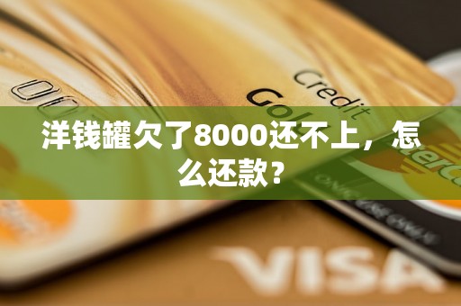 洋钱罐欠了8000还不上，怎么还款？