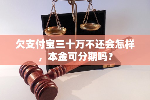 欠支付宝三十万不还会怎样，本金可分期吗？