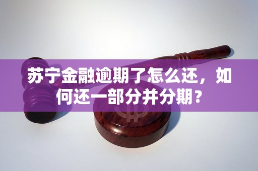 苏宁金融逾期了怎么还，如何还一部分并分期？