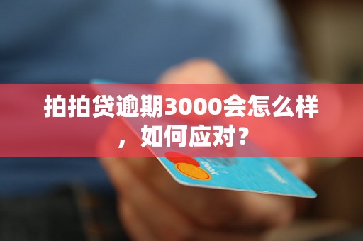 拍拍贷逾期3000会怎么样，如何应对？