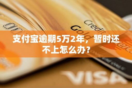 支付宝逾期5万2年，暂时还不上怎么办？