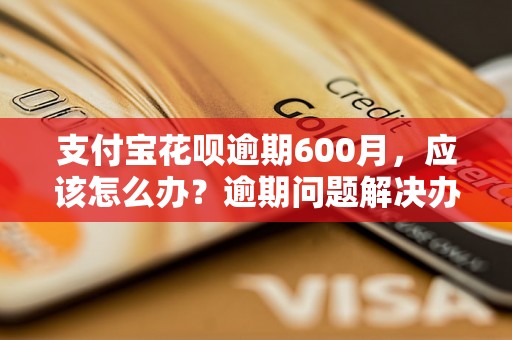 支付宝花呗逾期600月，应该怎么办？逾期问题解决办法