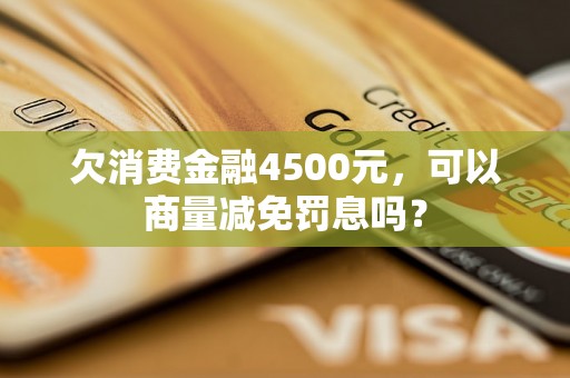 欠消费金融4500元，可以商量减免罚息吗？