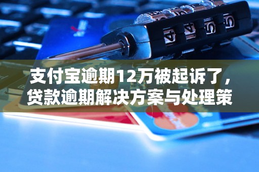 支付宝逾期12万被起诉了，贷款逾期解决方案与处理策略