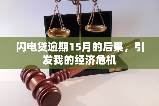 闪电贷逾期15月的后果，引发我的经济危机