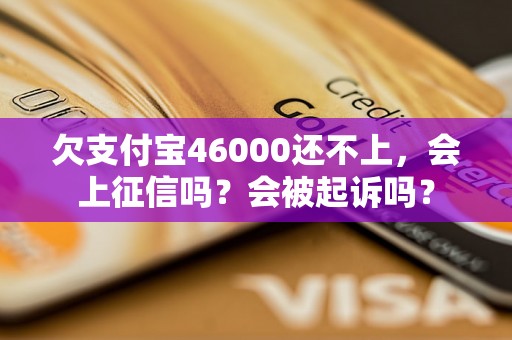 欠支付宝46000还不上，会上征信吗？会被起诉吗？