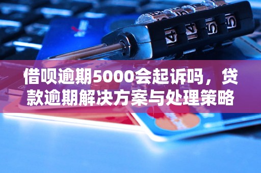 借呗逾期5000会起诉吗，贷款逾期解决方案与处理策略