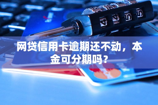 网贷信用卡逾期还不动，本金可分期吗？