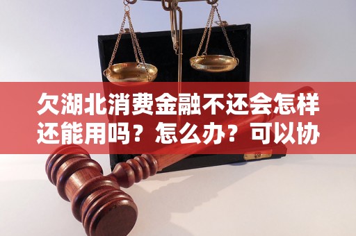 欠湖北消费金融不还会怎样还能用吗？怎么办？可以协商还本金吗？