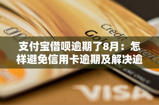 支付宝借呗逾期了8月：怎样避免信用卡逾期及解决逾期问题