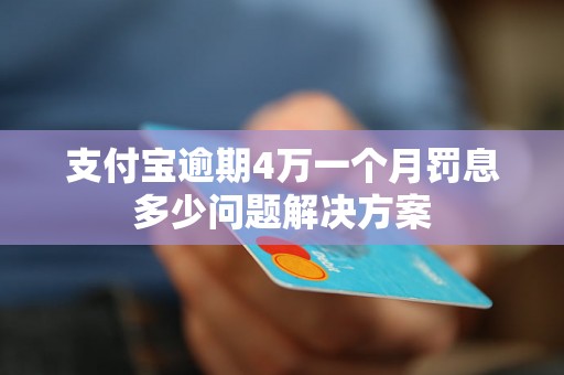 支付宝逾期4万一个月罚息多少问题解决方案