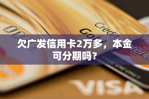 欠广发信用卡2万多，本金可分期吗？