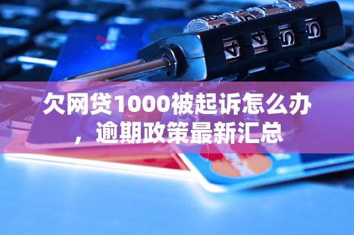 欠网贷1000被起诉怎么办，逾期政策最新汇总