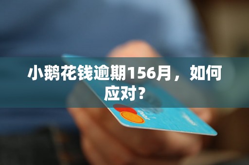 小鹅花钱逾期156月，如何应对？